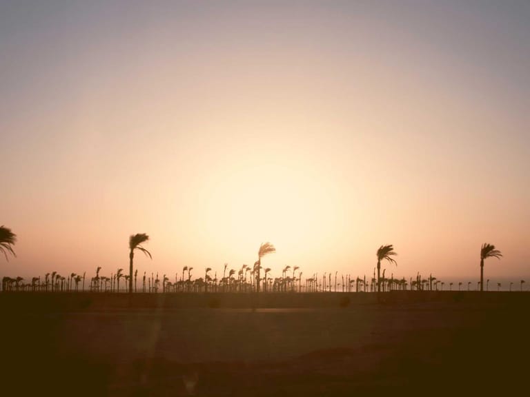 Students learning coding in a modern classroom setting.