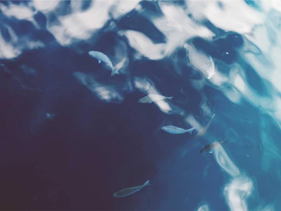 Governors arriving for the Northern Governors' Forum meeting.