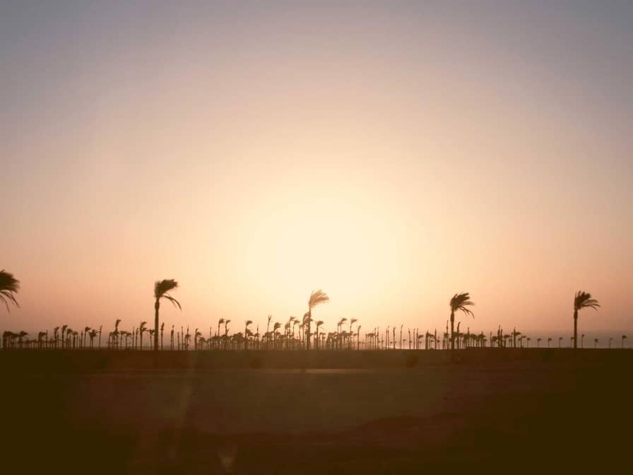 Students learning coding in a modern classroom setting.
